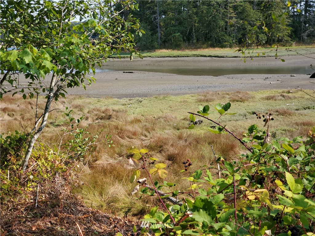 7240 East Grapeview Loop Road Allyn, WA 98524 - Photo 27 of 29 Gallery Image 27