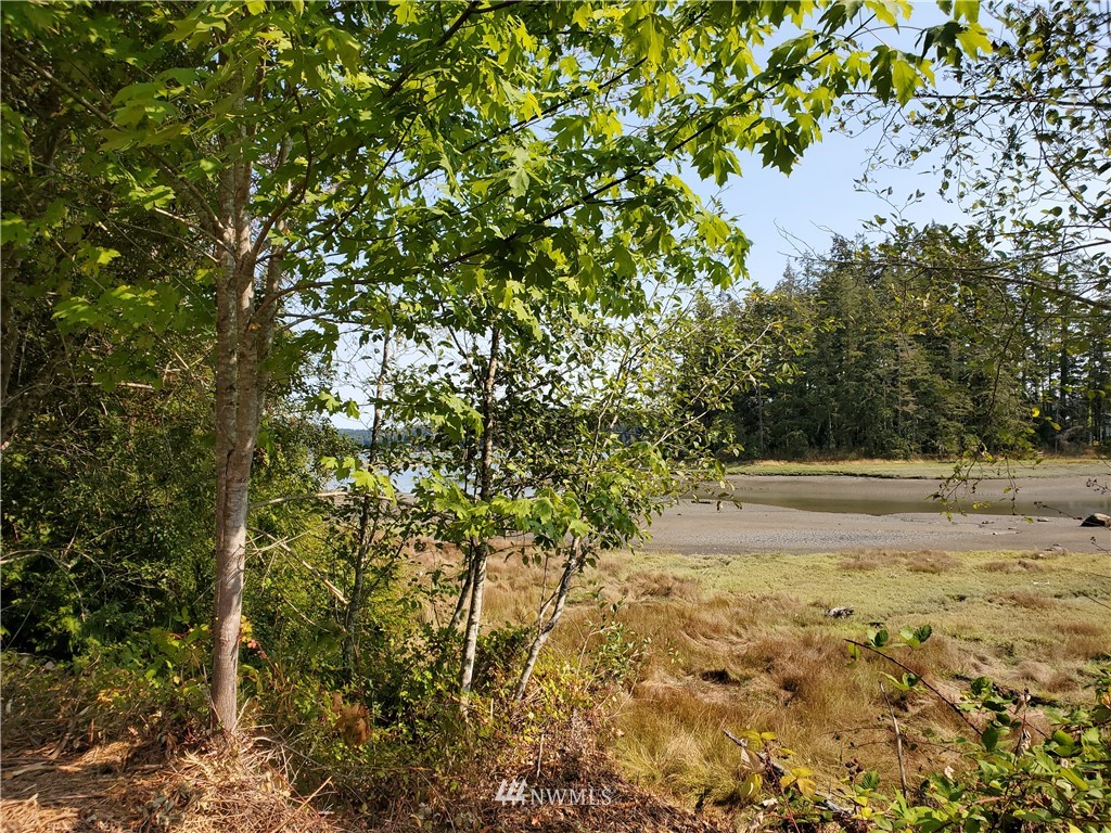 7240 East Grapeview Loop Road Allyn, WA 98524 - Photo 28 of 29 Gallery Image 28