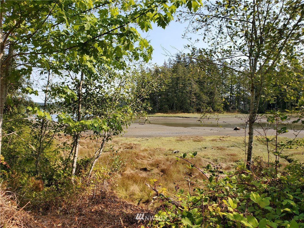 7240 East Grapeview Loop Road Allyn, WA 98524 - Photo 29 of 29 Gallery Image 29