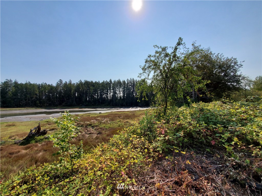 7240 East Grapeview Loop Road Allyn, WA 98524 - Photo 6 of 29 Gallery Image 6
