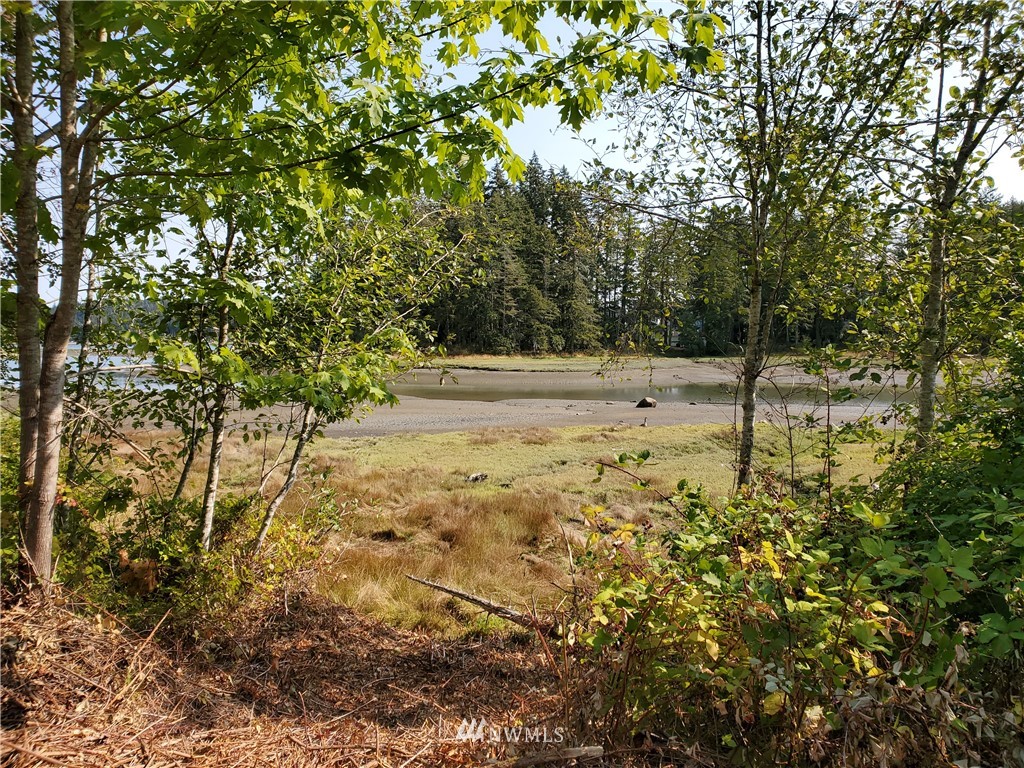 7240 East Grapeview Loop Road Allyn, WA 98524 - Photo 7 of 29 Gallery Image 7