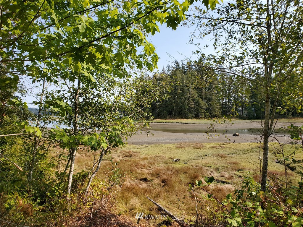 7240 East Grapeview Loop Road Allyn, WA 98524 - Photo 8 of 29 Gallery Image 8