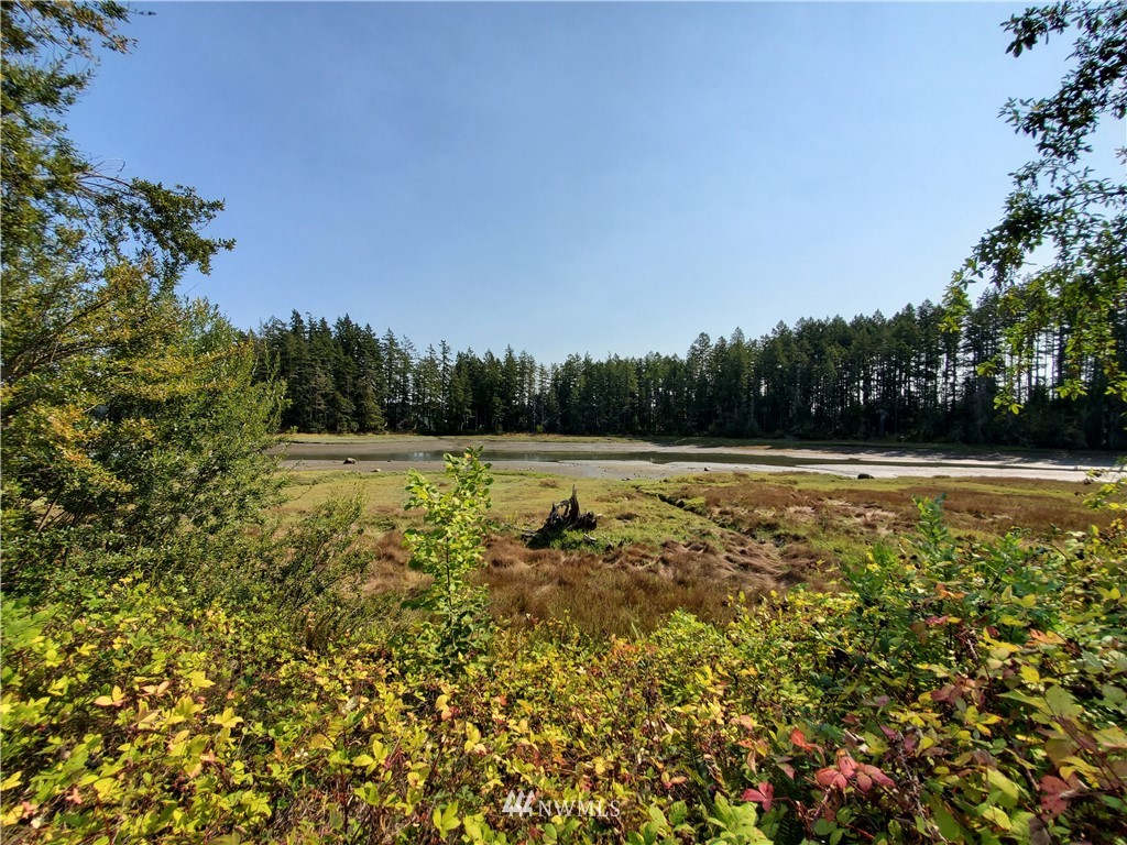 7240 East Grapeview Loop Road Allyn, WA 98524 - Photo 9 of 29 Gallery Image 9