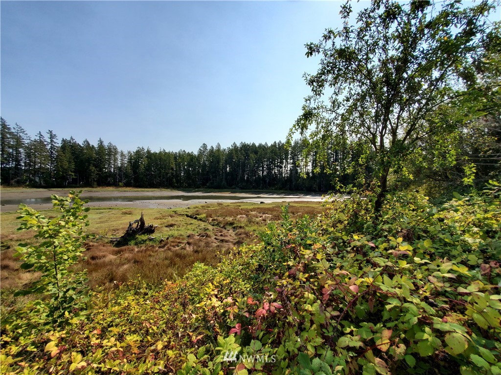 7240 East Grapeview Loop Road Allyn, WA 98524 - Photo 10 of 29 Gallery Image 10