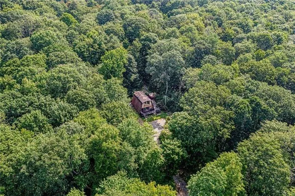 an outdoor space with lots of trees