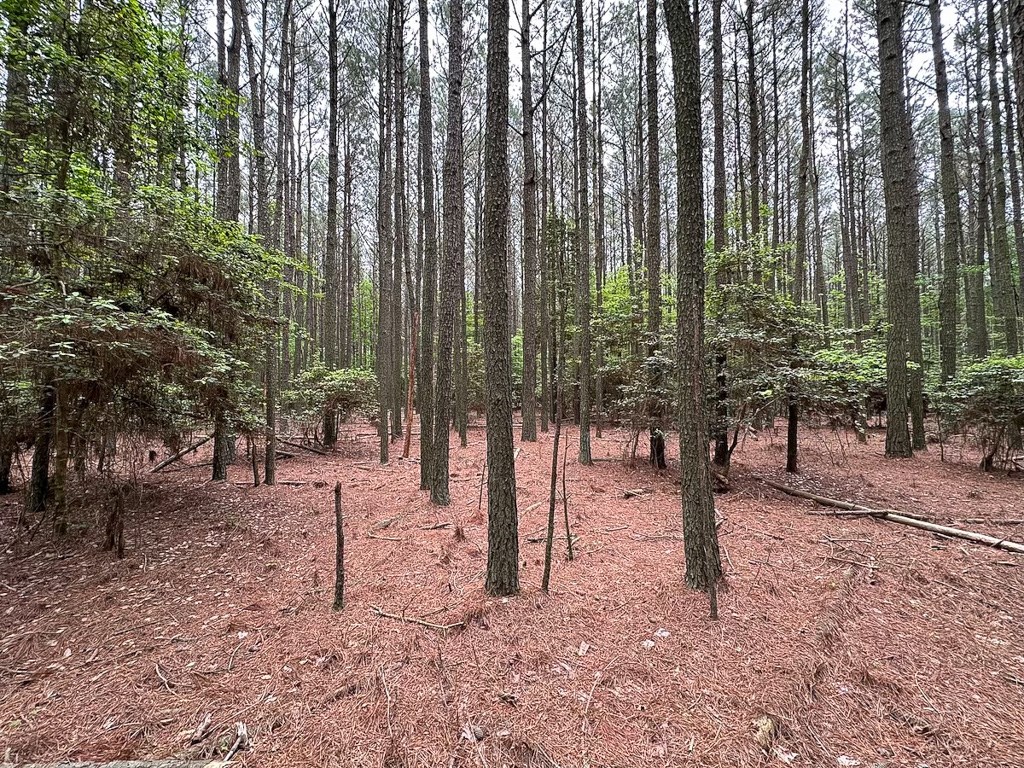 1.75-ac 1.75-ac Kegotank Road, Unit 2 Bloxom, VA 23308 - Photo 15 of 18