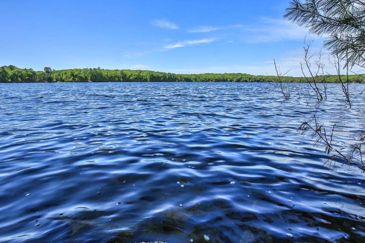 7863 Alva Lake Road Lake Tomahawk, WI 54539 - Photo 2 of 30 Gallery Image 2