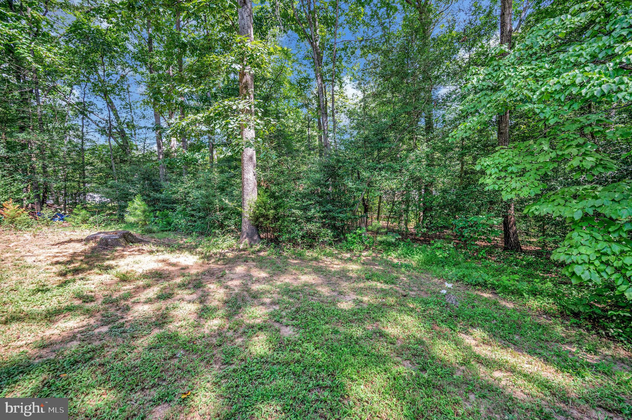 518 Monticello Circle Locust Grove, VA 22508 - Photo 46 of 59 Backs to trees