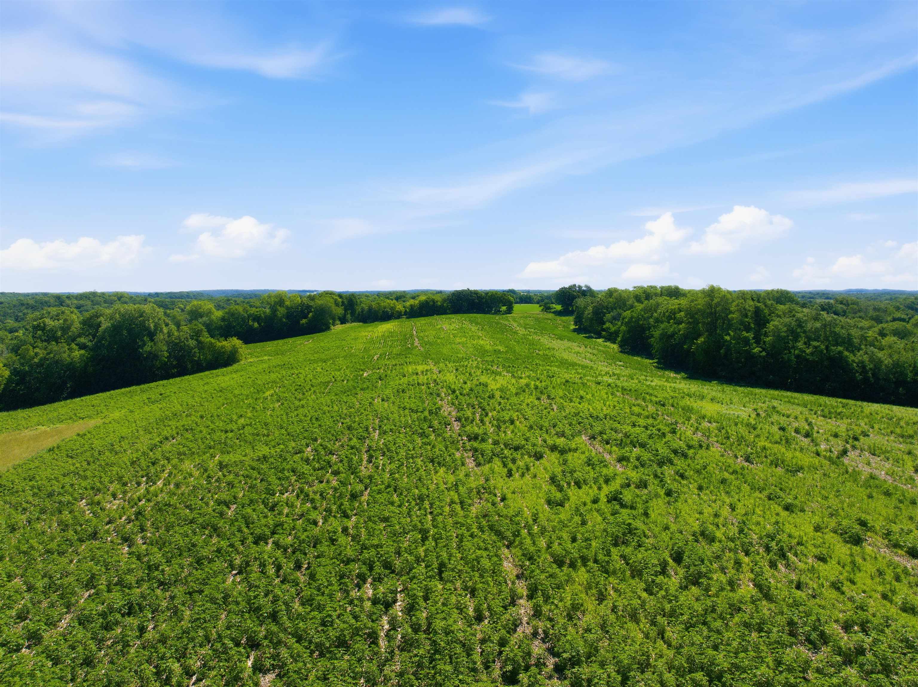 100-ac Dunlap Hollow Road Mazomanie, WI 53560 - Photo 23 of 30