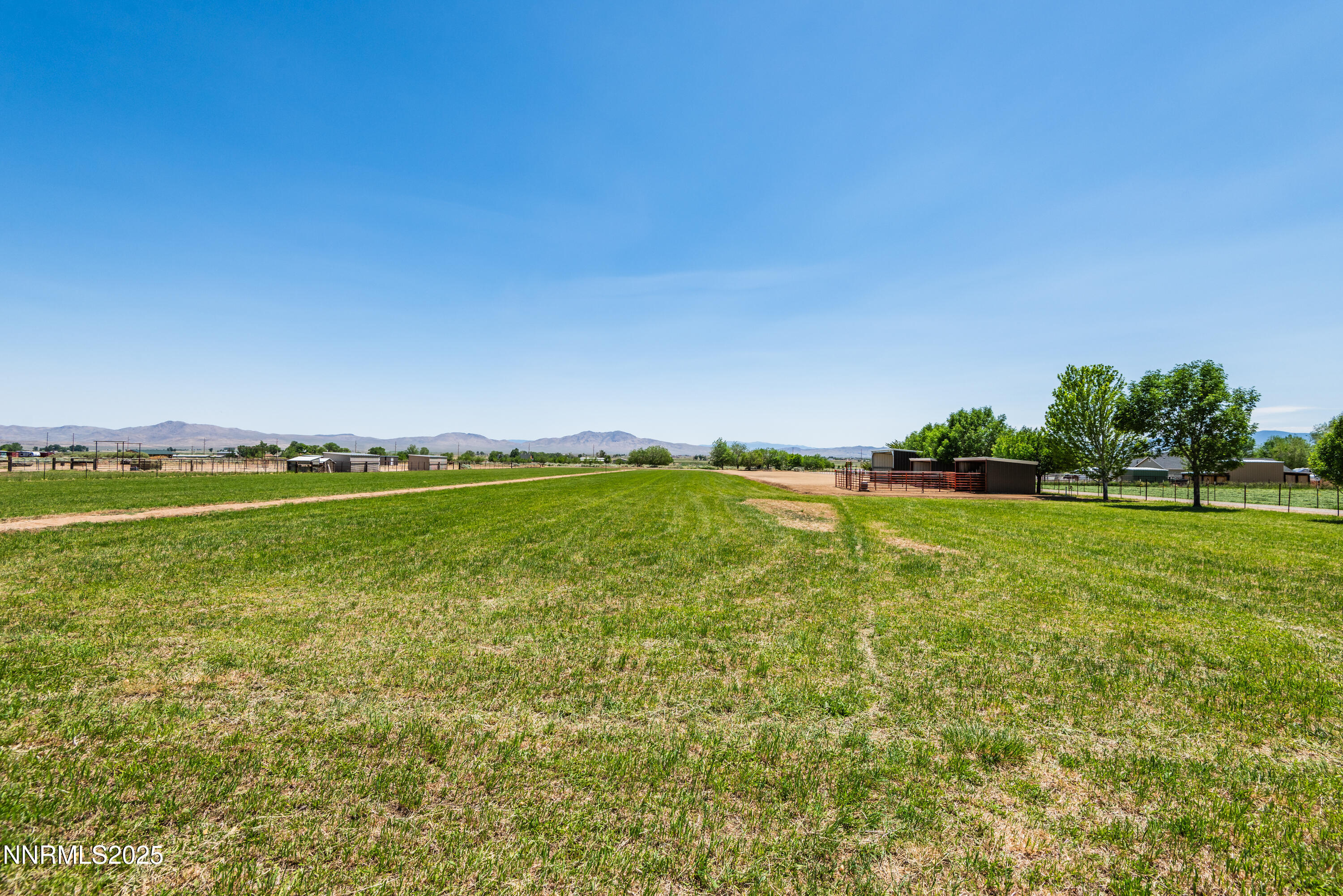 544 Upper Colony Road Wellington, NV 89444 - Photo 29 of 47 a view of field with grass and trees