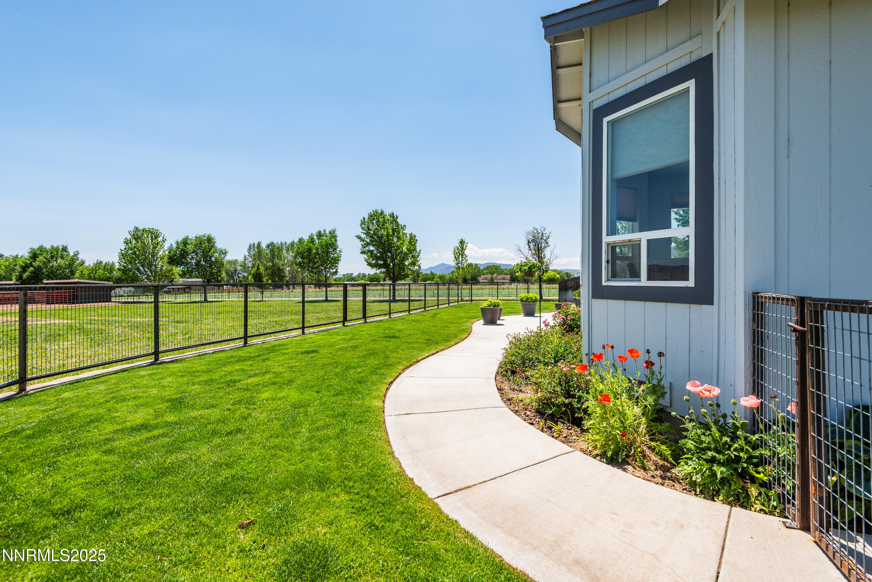 544 Upper Colony Road Wellington, NV 89444 - Photo 5 of 47 a view of a house with a big yard and potted plants