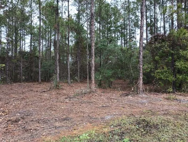 a view of outdoor space with trees