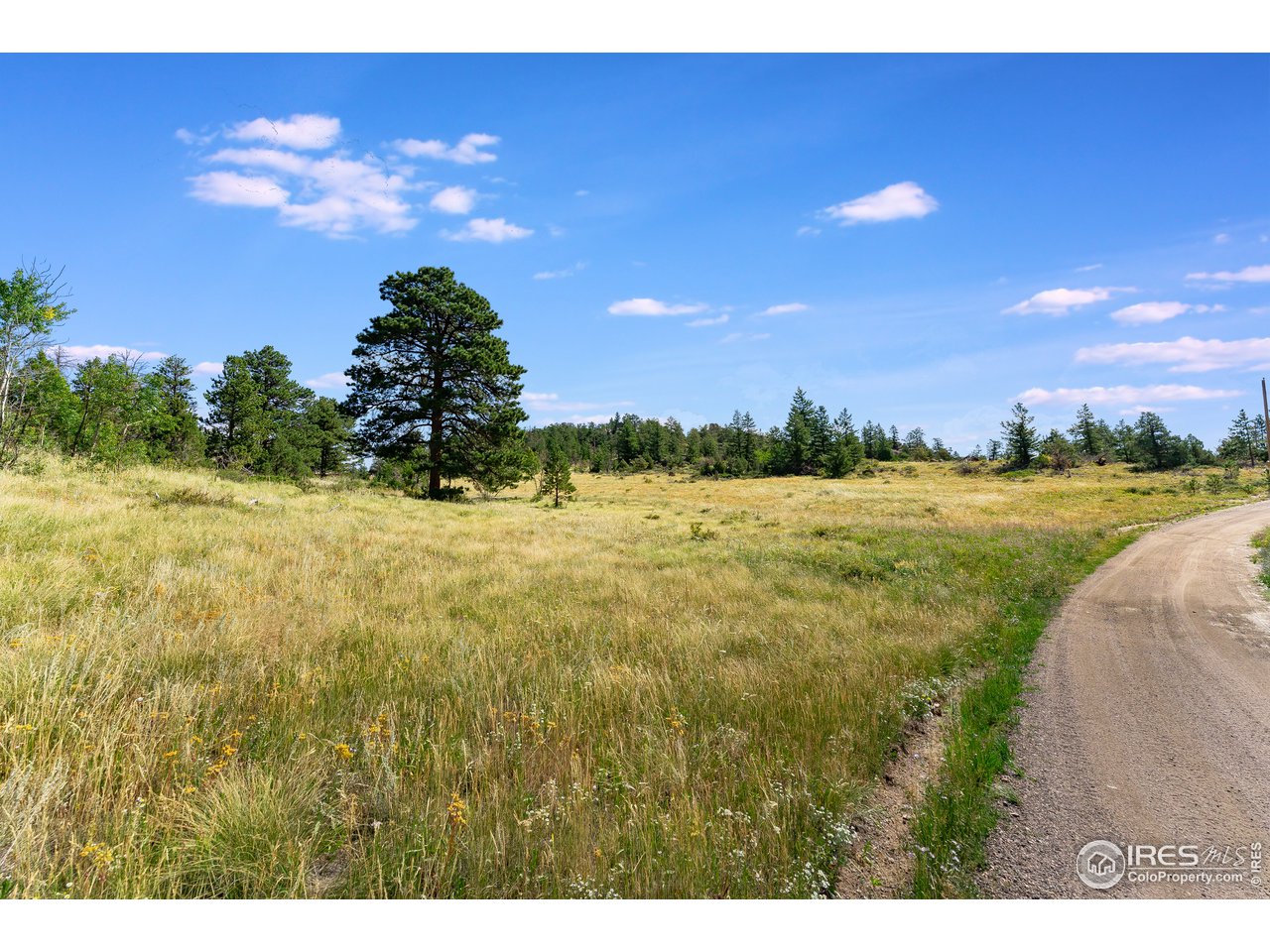 0 North Rim Road Livermore, CO 80536 - Photo 11 of 19 Gallery Image 11
