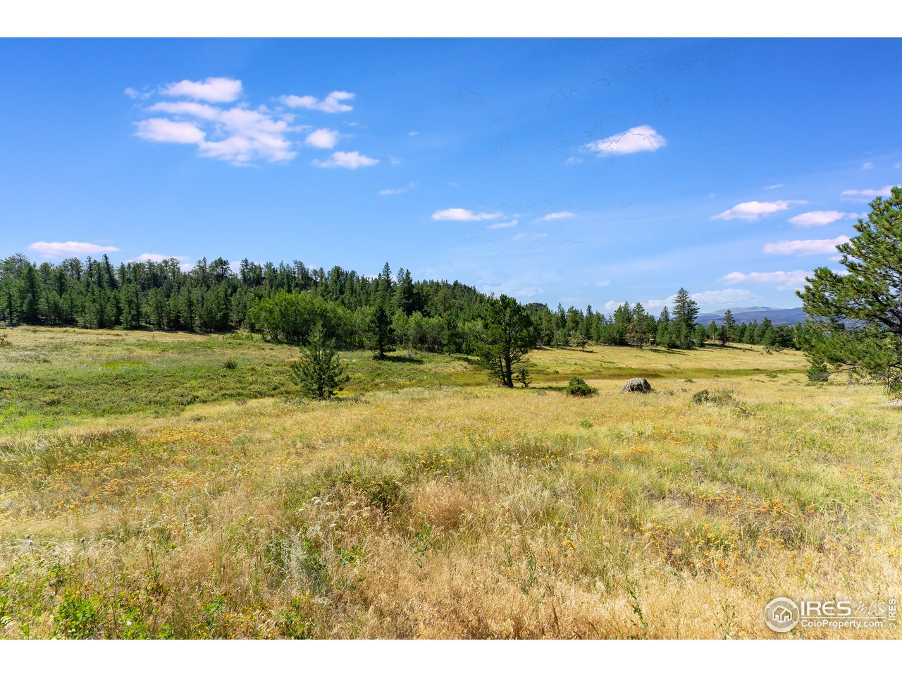 0 North Rim Road Livermore, CO 80536 - Photo 12 of 19 Gallery Image 12