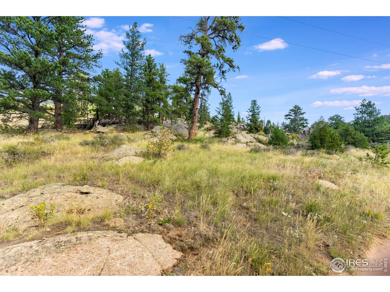 0 North Rim Road Livermore, CO 80536 - Photo 13 of 19 Gallery Image 13