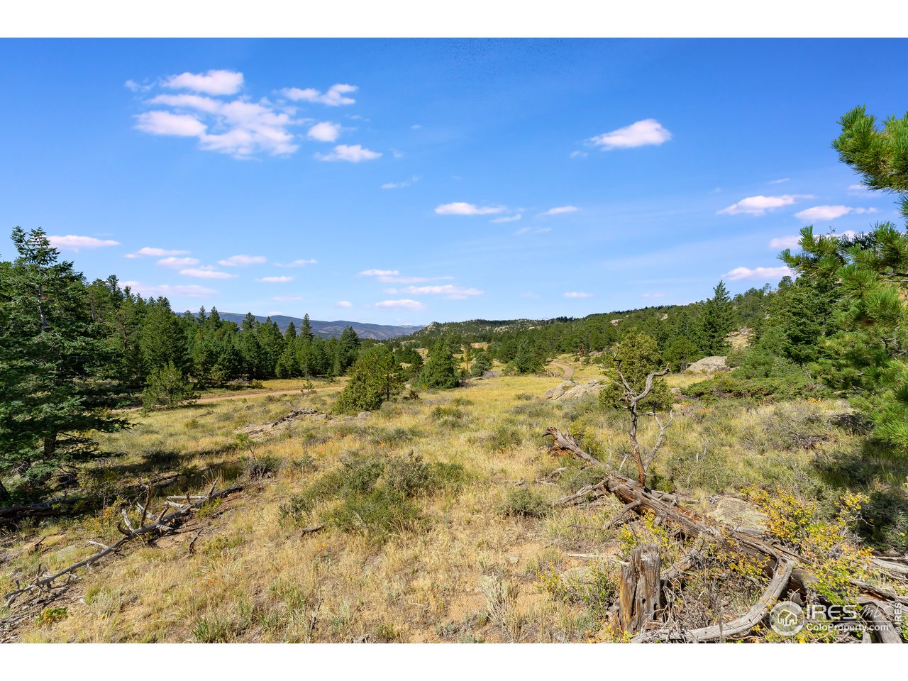 0 North Rim Road Livermore, CO 80536 - Photo 14 of 19 Gallery Image 14
