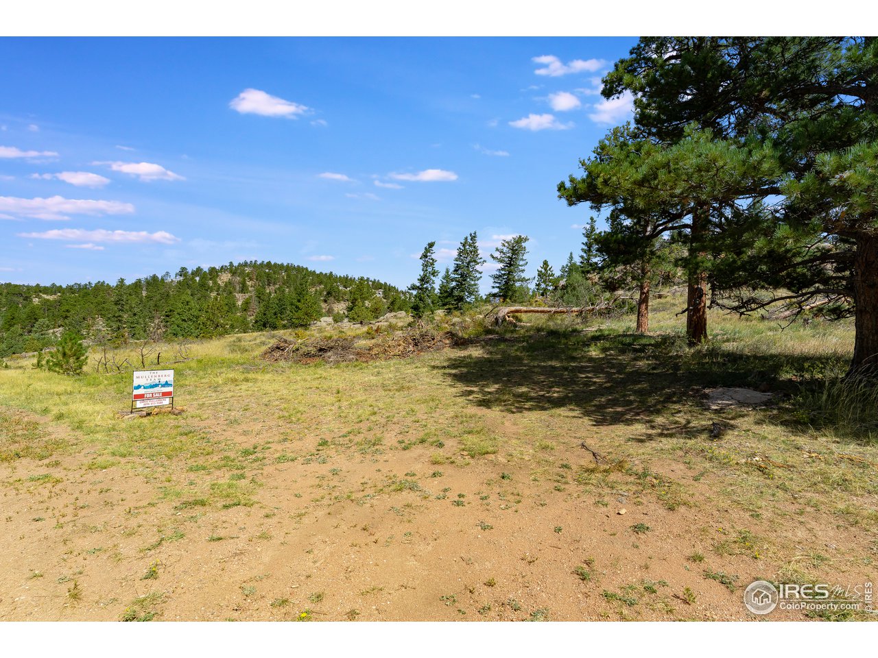 0 North Rim Road Livermore, CO 80536 - Photo 15 of 19 Gallery Image 15