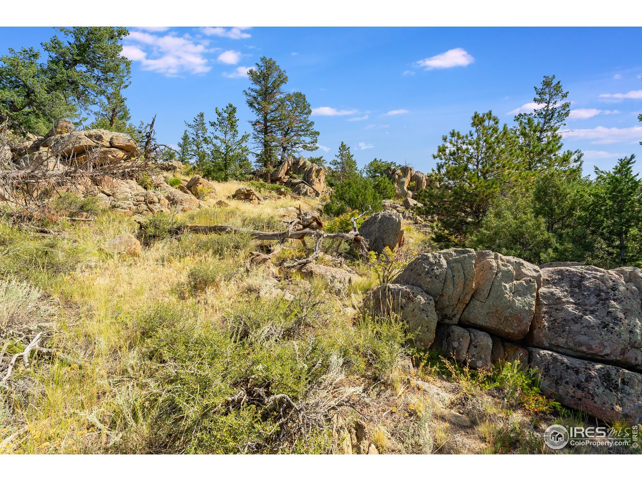 0 North Rim Road Livermore, CO 80536 - Photo 16 of 19 Gallery Image 16