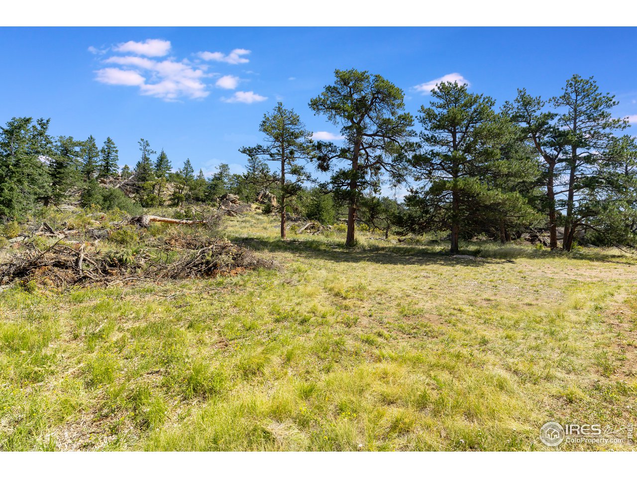0 North Rim Road Livermore, CO 80536 - Photo 17 of 19 Gallery Image 17