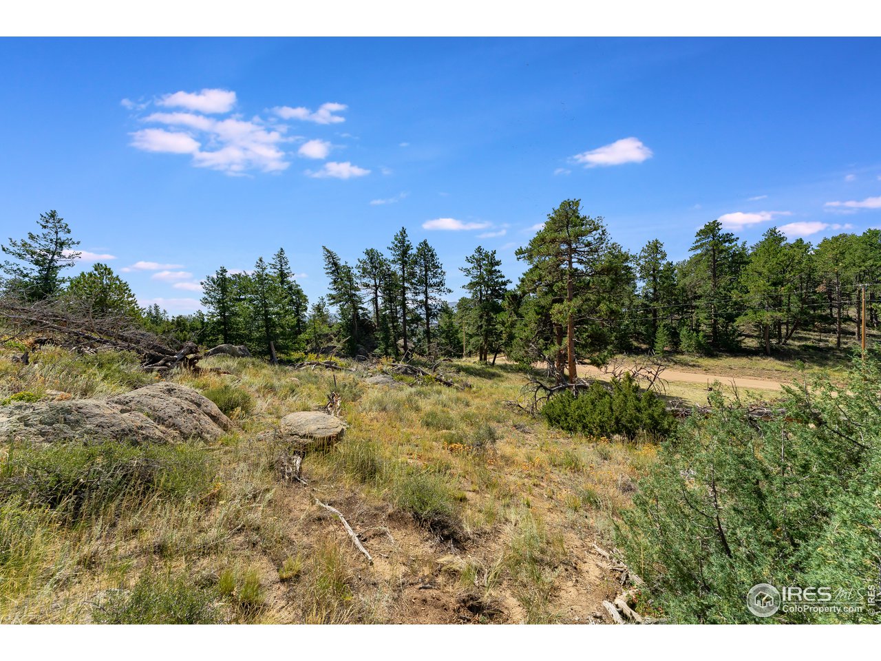 0 North Rim Road Livermore, CO 80536 - Photo 18 of 19 Gallery Image 18