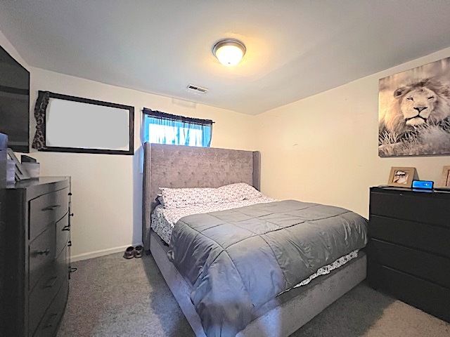 534 White Oak Road Bolingbrook, IL 60440 - Photo 5 of 13