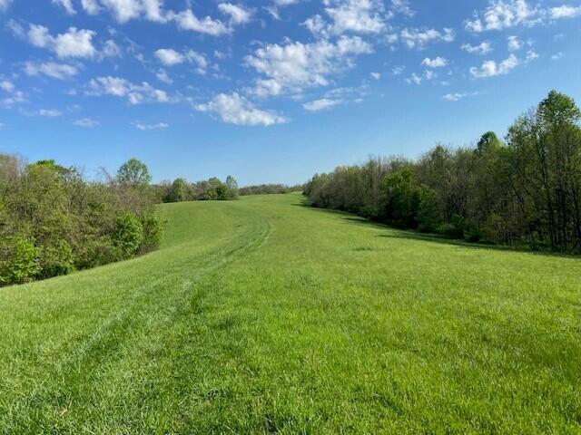 2451 Sardis Road Mount Olivet, KY 41064 - Photo 36 of 42