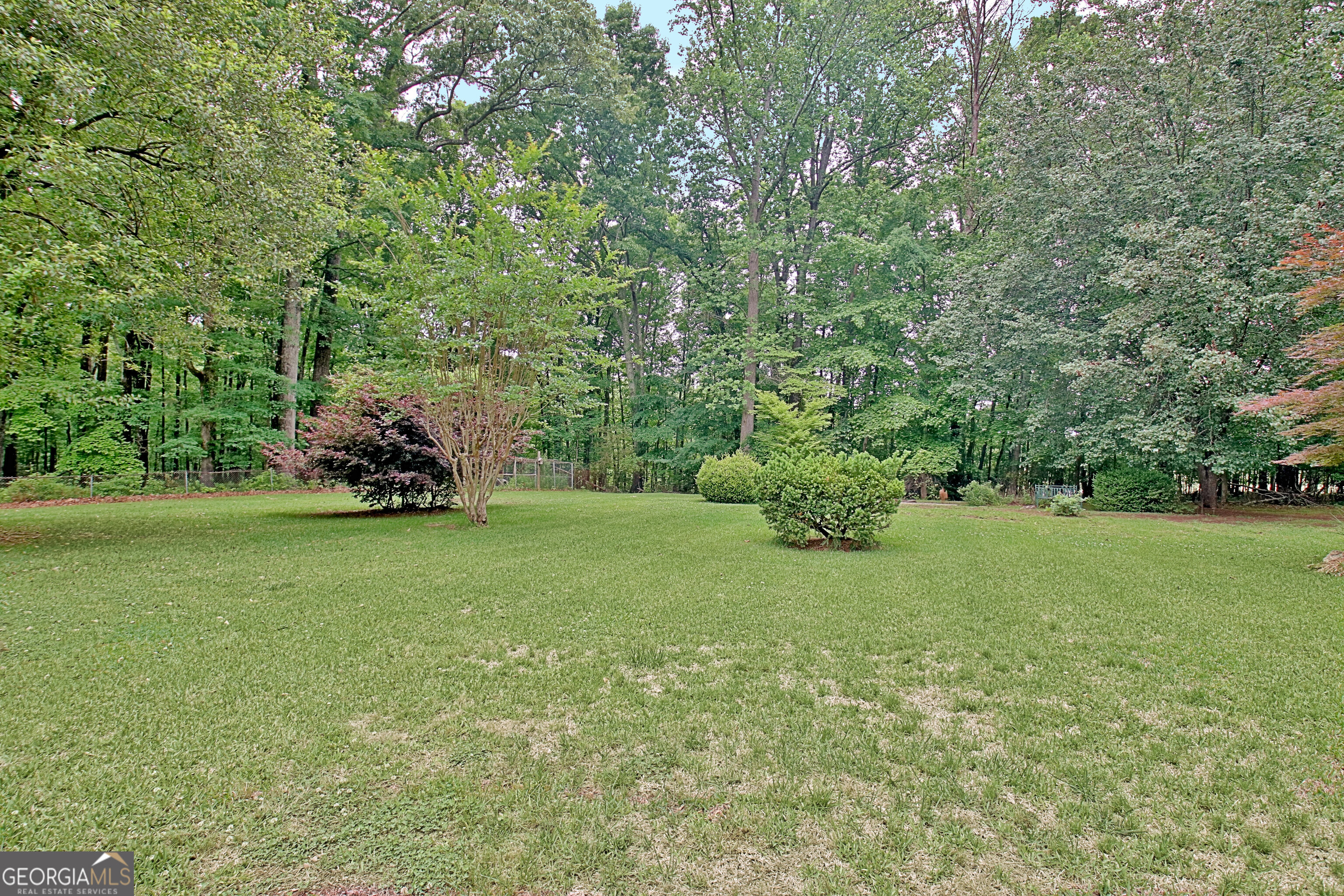 717 Tyrone Road Tyrone, GA 30290 - Photo 52 of 58 a big yard with lots of green space and trees