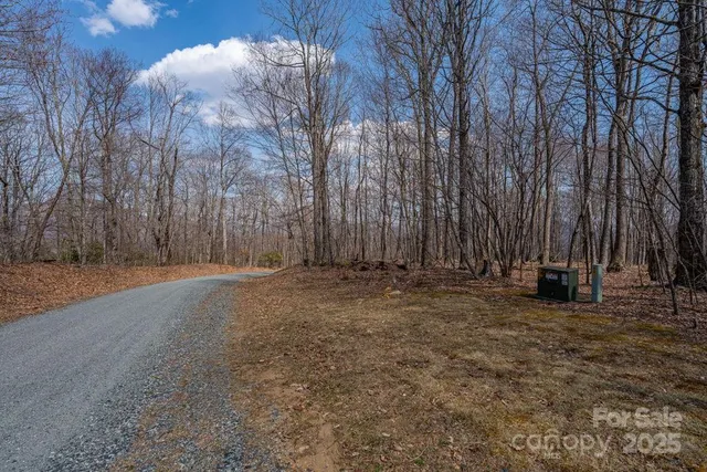 a view of a yard with large trees