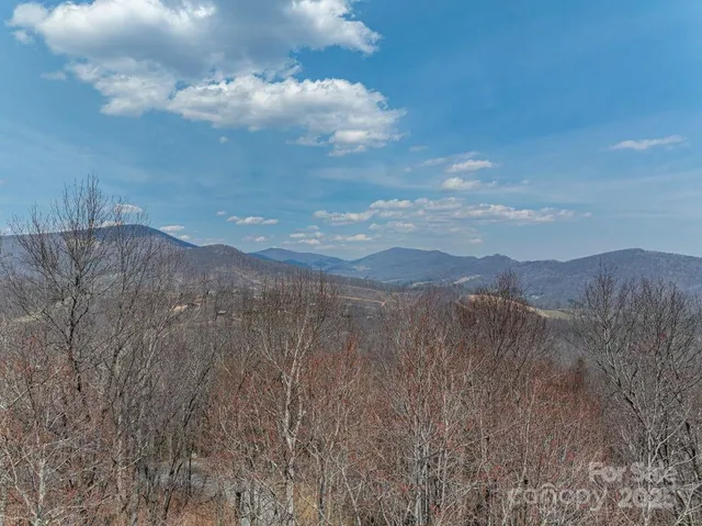 a view of a dry yard with green space