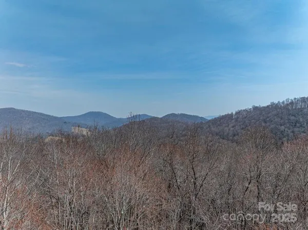 a view of a mountain range with trees in the background