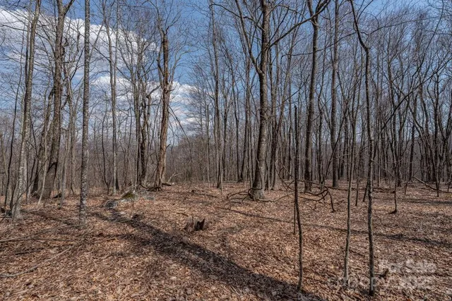 a view of wooden fence