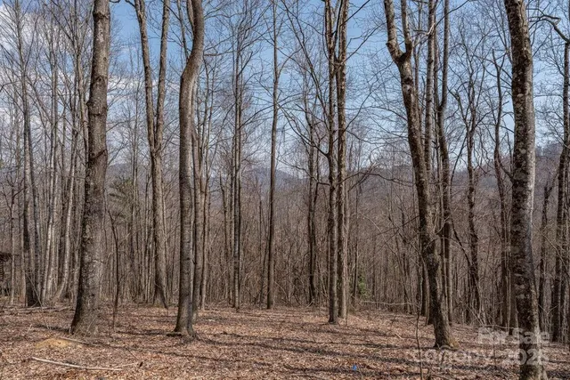 a view of a backyard of the house