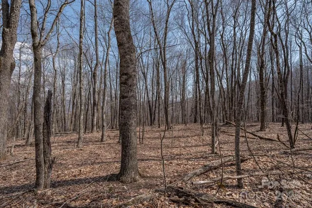 a view of a backyard with wooden fence