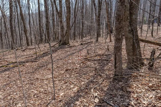 a view of wooden fence