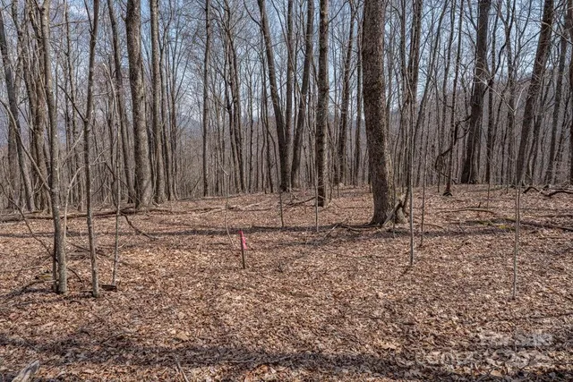 a view of wooden fence and trees