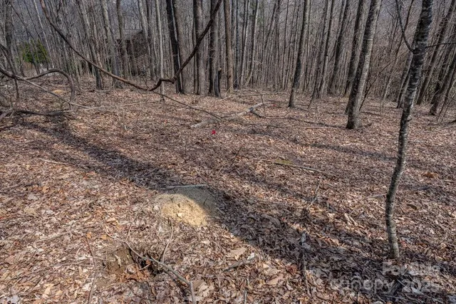 a view of wooden fence