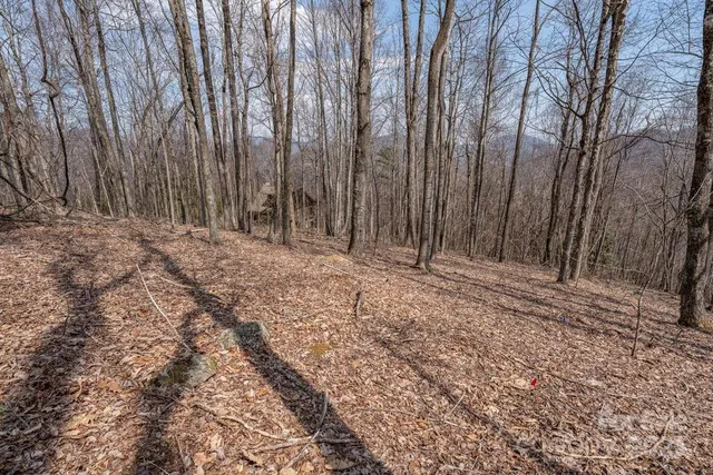 a view of wooden fence and trees