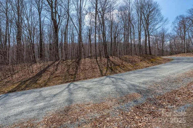 a view of backyard with tree