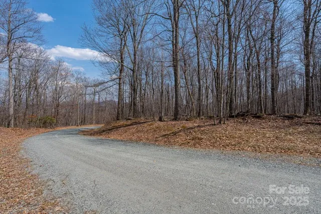 a view of a backyard with large trees