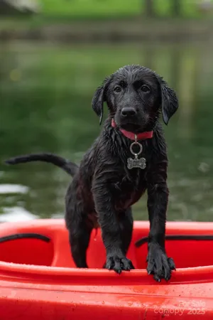 a close view of shoes and a rug