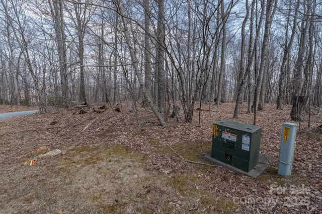 a view of a backyard with large trees and wooden fence