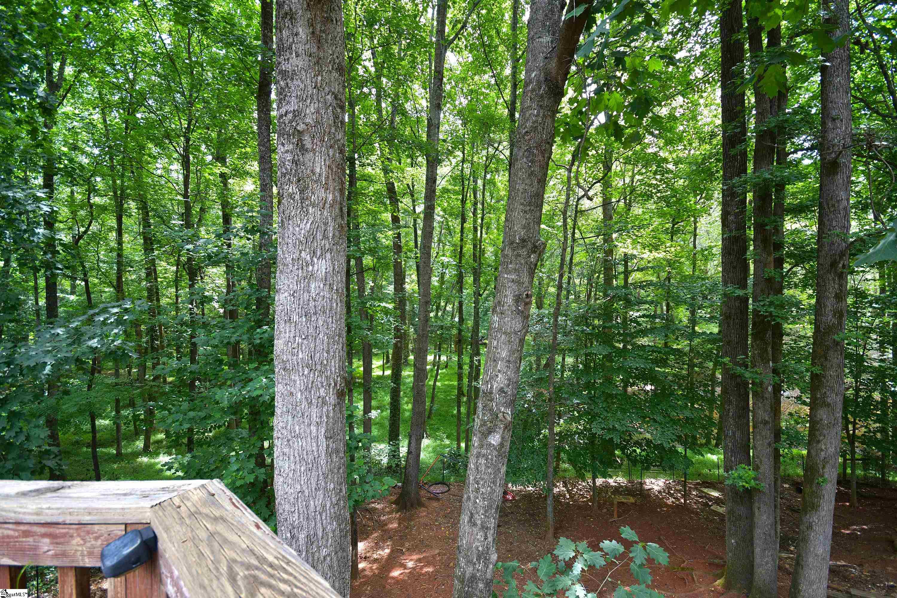 450 Waspnest Road Wellford, SC 29385 - Photo 28 of 32