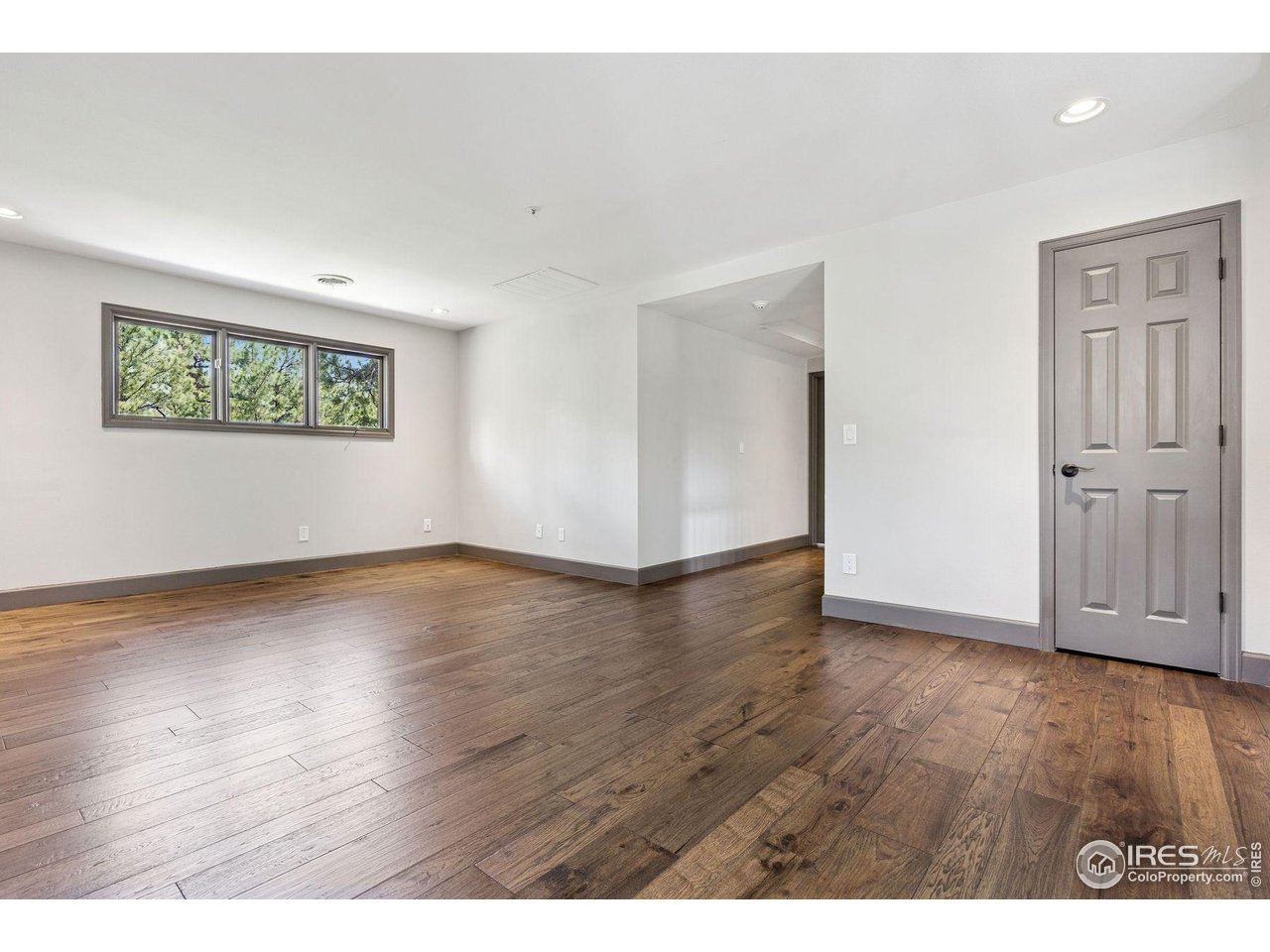 65 Indigo Way Castle Rock, CO 80108 - Photo 28 of 50 a view of an empty room with wooden floor and closet