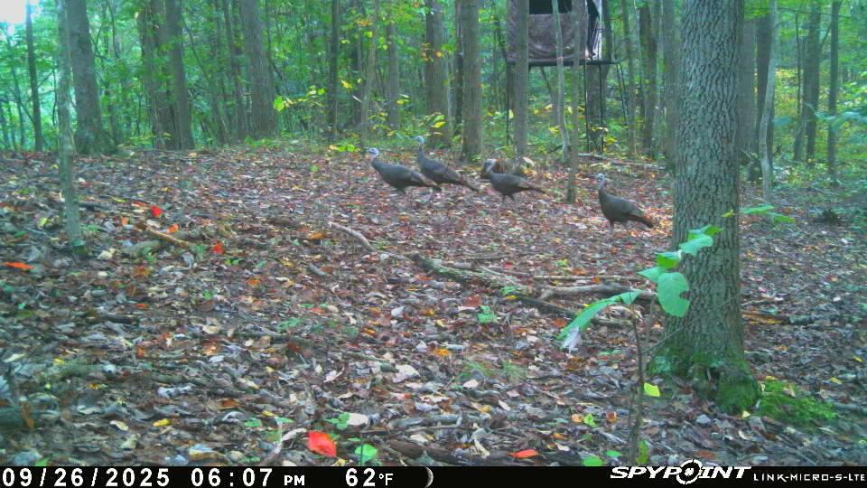 33509 Clipner Road Londonderry, OH 45647 - Photo 38 of 46 Image-1