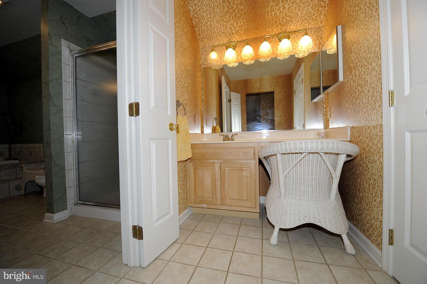 2853 Thornbrook Road Ellicott City, MD 21042 - Photo 15 of 26 Master Bedroom Vanity