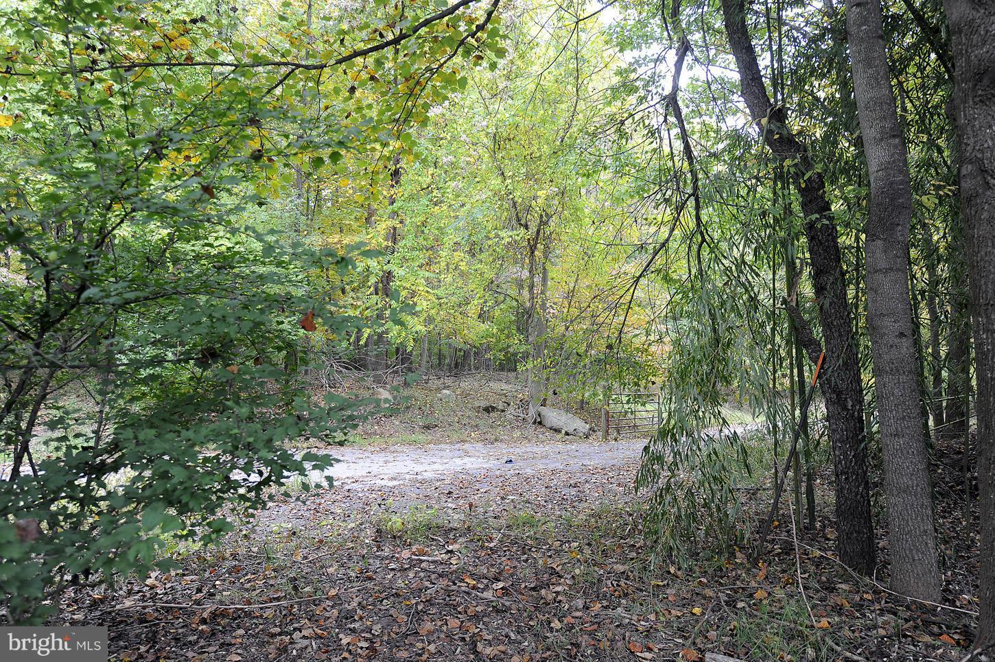 2853 Thornbrook Road Ellicott City, MD 21042 - Photo 25 of 26 Scenic View