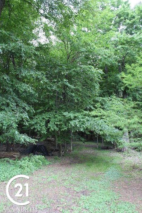 3032 South Blacks Corners Road Dryden, MI 48428 - Photo 37 of 40 Gallery Image 37
