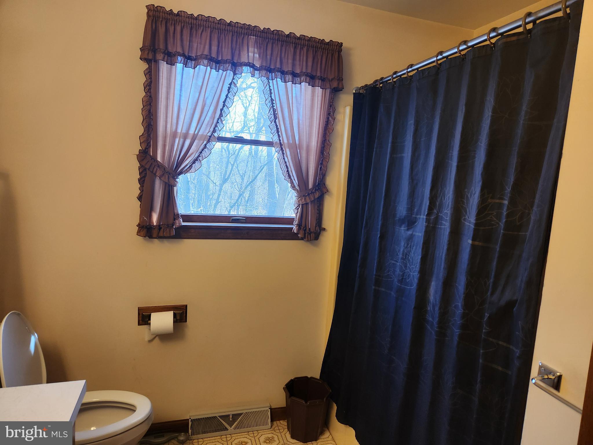 236 Pittsburg Valley Road Conestoga, PA 17516 - Photo 25 of 75 a bathroom with a toilet and a shower curtain