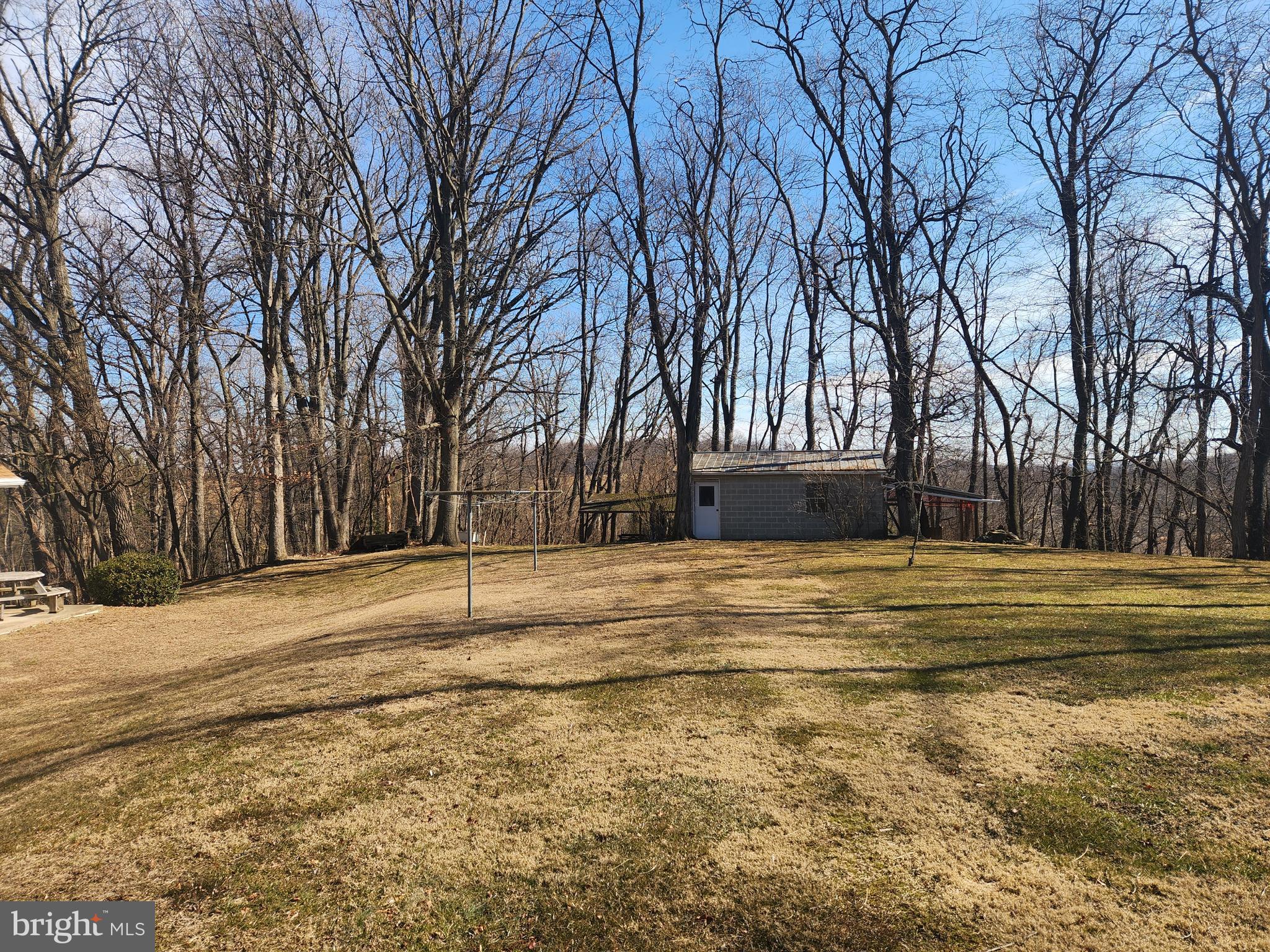 236 Pittsburg Valley Road Conestoga, PA 17516 - Photo 49 of 75 a view of pool with trees