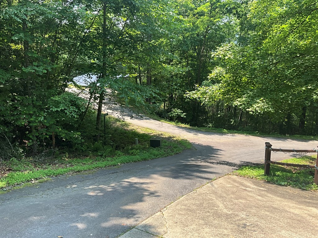 5 Birds View Lane Murphy, NC 28906 - Photo 2 of 17